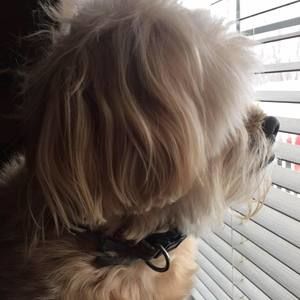 Meet your Posher, Melinda